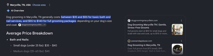 Google AI Overview quoting a client's pricing page as the first source